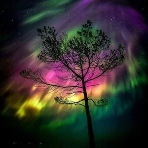 Meet your Posher, Debby